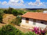  Castelvetrano Azienda Agricola di 8 ettari circa . in Vendita