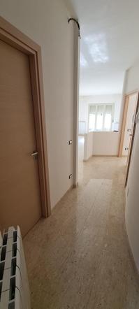  id.5173982