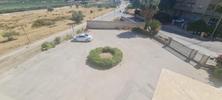  id.5208557