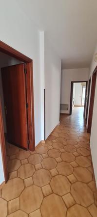  id.5208570