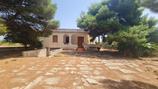 TRISCINA VILLA 6,5 VANI + GIARDINO A POCHI PASSI DAL MARE. in Vendita