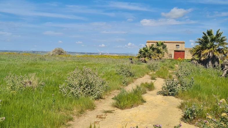 id.5306857