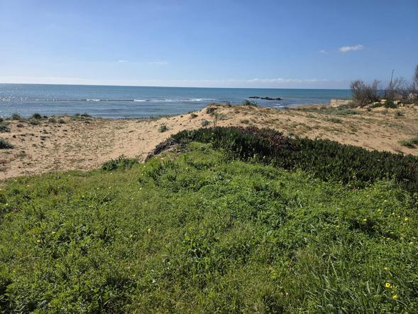  id.5306913
